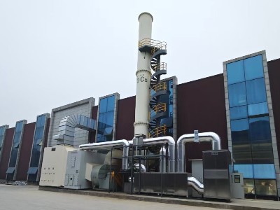 分子篩轉輪+CO組合處理設備